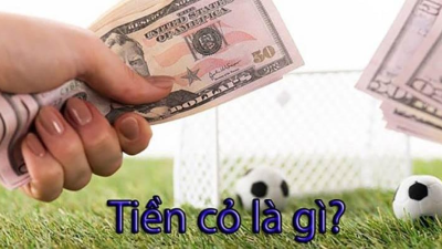 Cách tính tiền cỏ trong cá độ bóng đá cho người chơi mới