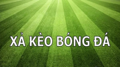 Cách xả kèo bóng đá thoát lỗ hiệu quả cho các bet thủ